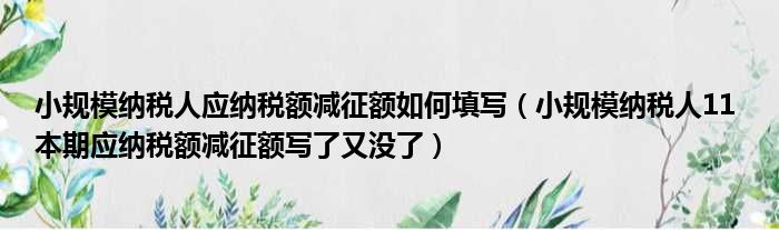 小规模纳税人应纳税额减征额如何填写 小规模纳税人11 本期应纳税额减征额写了又没了