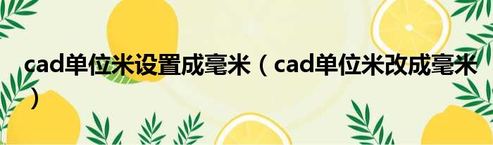 cad单位米设置成毫米 cad单位米改成毫米