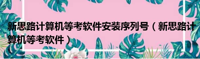 新思路计算机等考软件安装序列号 新思路计算机等考软件