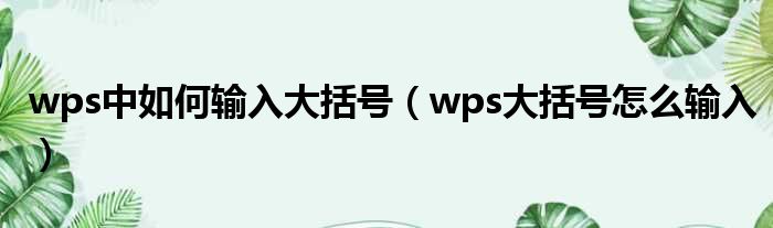 wps中如何输入大括号 wps大括号怎么输入
