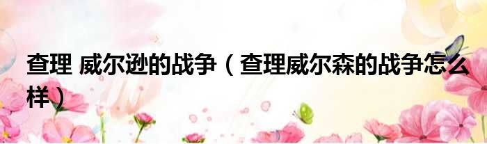 查理 威尔逊的战争 查理威尔森的战争怎么样