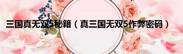 三国真无双5秘籍 真三国无双5作弊密码