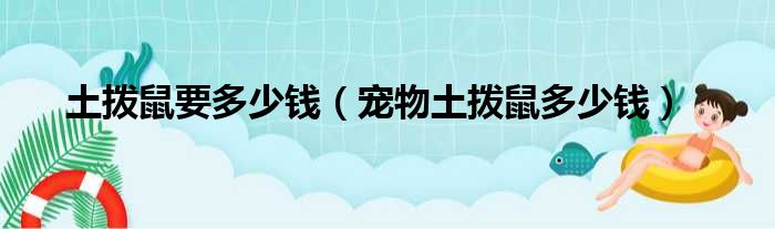 土拨鼠要多少钱 宠物土拨鼠多少钱