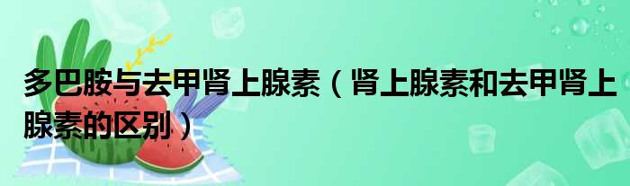 多巴胺与去甲肾上腺素 肾上腺素和去甲肾上腺素的区别
