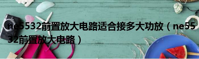 ne5532前置放大电路适合接多大功放 ne5532前置放大电路