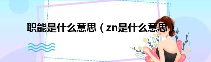 职能是什么意思 zn是什么意思