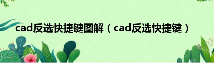 cad反选快捷键图解 cad反选快捷键