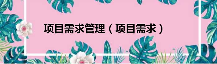 项目需求管理 项目需求