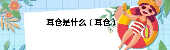 耳仓是什么 耳仓