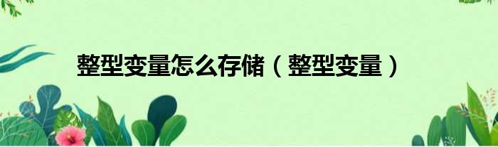 整型变量怎么存储 整型变量