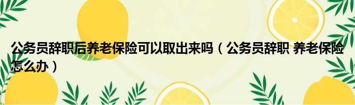 公务员辞职后养老保险可以取出来吗 公务员辞职 养老保险怎么办