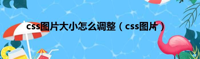 css图片大小怎么调整 css图片
