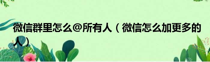 [email protected] 微信怎么加更多的人