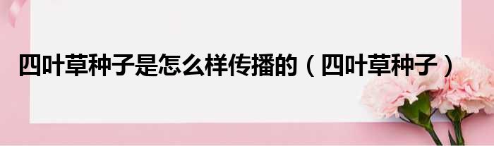 四叶草种子是怎么样传播的 四叶草种子