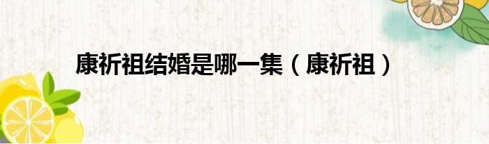 康祈祖结婚是哪一集 康祈祖