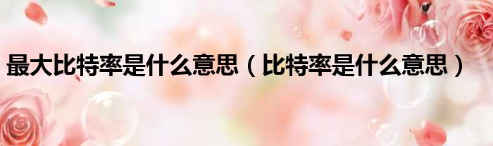 最大比特率是什么意思 比特率是什么意思