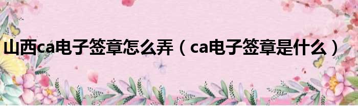 山西ca电子签章怎么弄 ca电子签章是什么