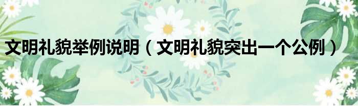 文明礼貌举例说明 文明礼貌突出一个公例