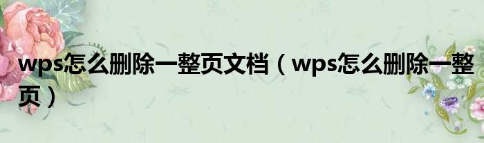 wps怎么删除一整页文档 wps怎么删除一整页