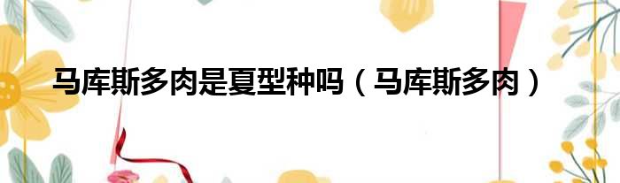 马库斯多肉是夏型种吗 马库斯多肉