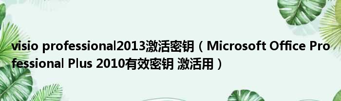 visio professional2013激活密钥 Microsoft Office Professional Plus 2010有效密钥 激活用
