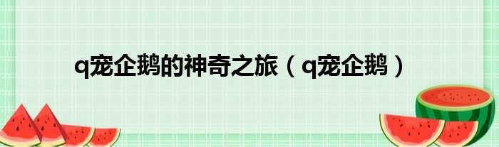 q宠企鹅的神奇之旅 q宠企鹅