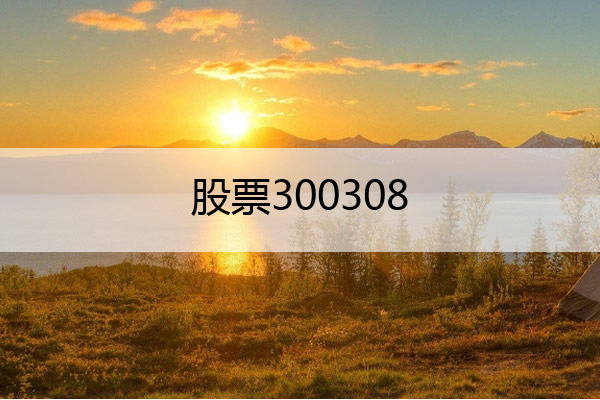 股票300308 股票300475