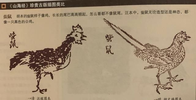 山海经故事讲解国学经典(山海经子鼠的故事)图3