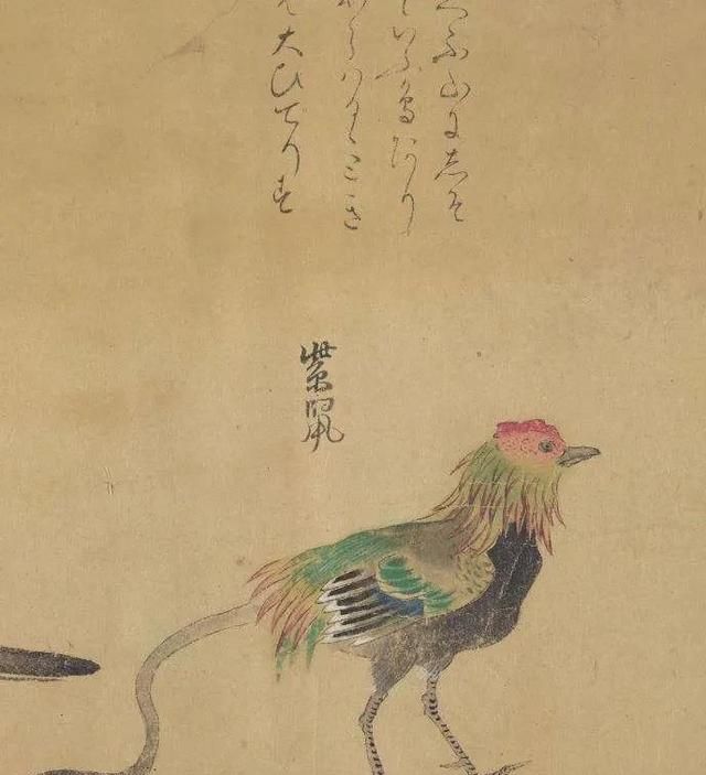 山海经故事讲解国学经典(山海经子鼠的故事)图4