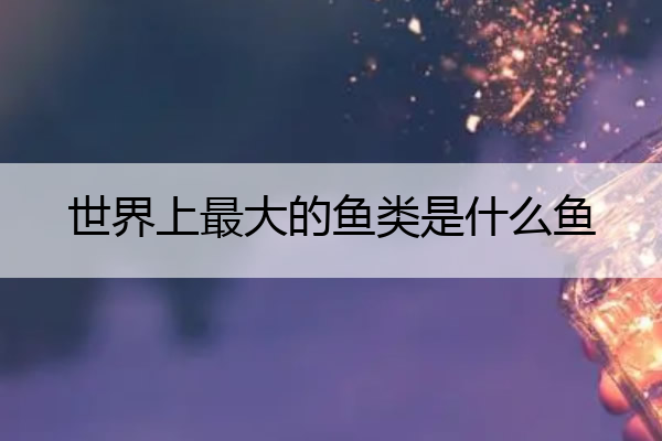 世界上最大的鱼类是什么鱼 世界上最大的鱼叫什么鱼