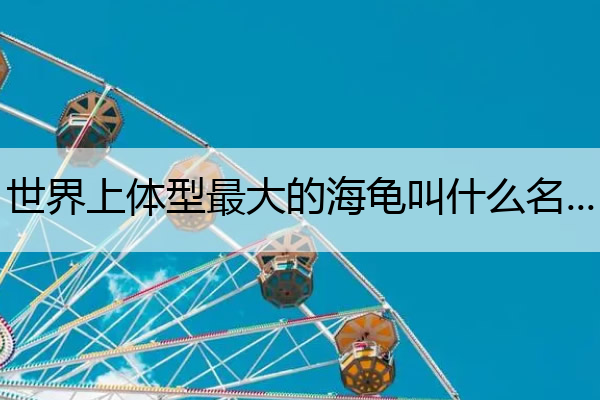 世界上体型最大的海龟叫什么名字 世界上体型最大的海龟叫什么名字来着
