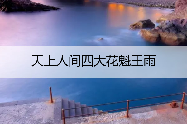 天上人间四大花魁王雨