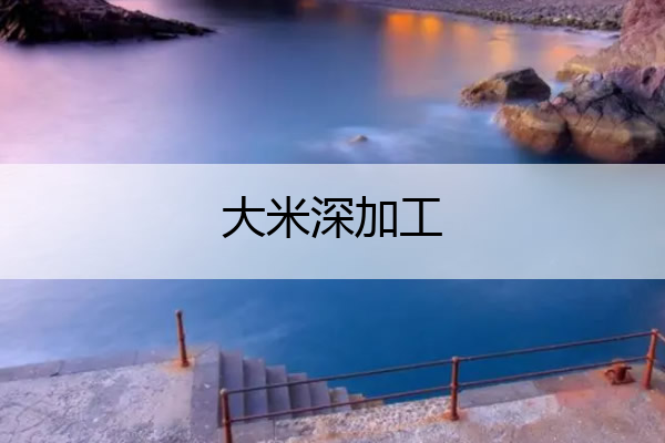 大米深加工 大米深加工有哪些项目2020