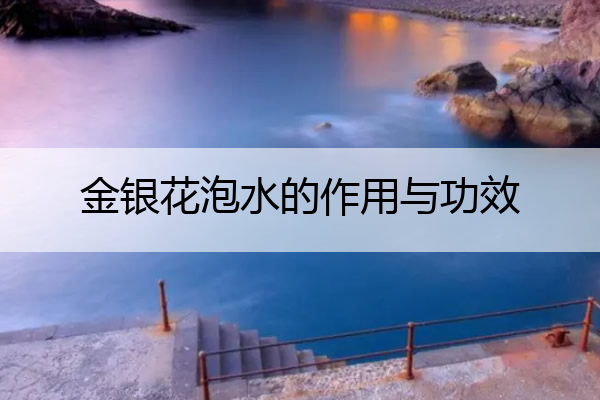 金银花泡水的作用与功效 金银花泡水的作用与功效禁忌