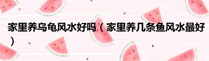 家里养乌龟风水好吗 家里养几条鱼风水最好