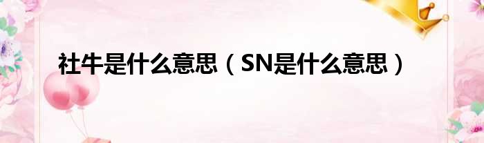 社牛是什么意思 SN是什么意思
