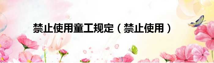 禁止使用童工规定 禁止使用