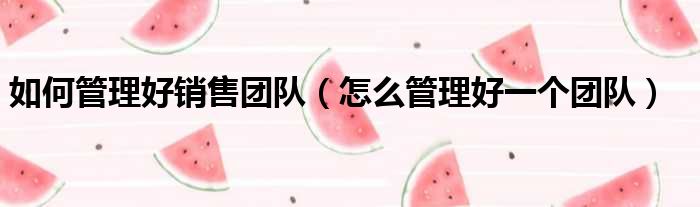 如何管理好销售团队 怎么管理好一个团队