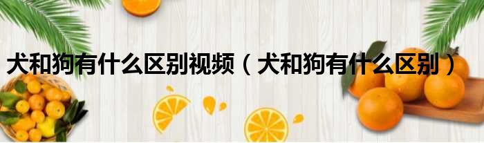 犬和狗有什么区别视频 犬和狗有什么区别