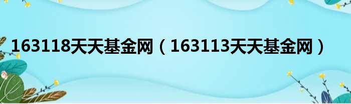 163118天天基金网 163113天天基金网