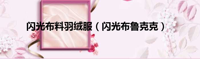 闪光布料羽绒服 闪光布鲁克克