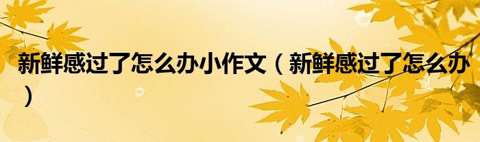 新鲜感过了怎么办小作文 新鲜感过了怎么办