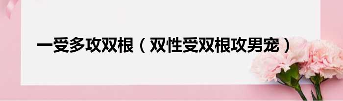 一受多攻双根 双性受双根攻男宠