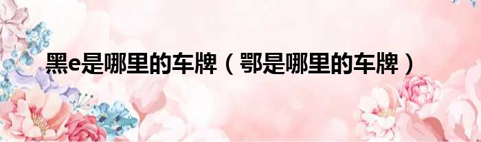 黑e是哪里的车牌 鄂是哪里的车牌