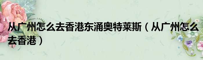 从广州怎么去香港东涌奥特莱斯 从广州怎么去香港