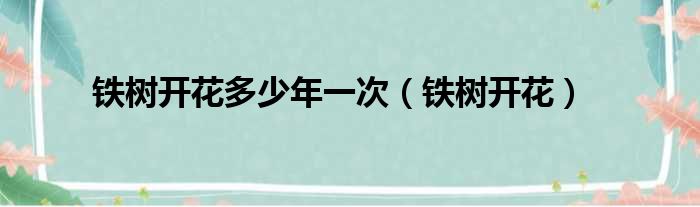 铁树开花多少年一次 铁树开花