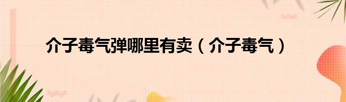 介子毒气弹哪里有卖 介子毒气