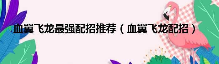 血翼飞龙最强配招推荐 血翼飞龙配招