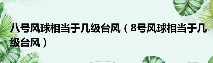 八号风球相当于几级台风 8号风球相当于几级台风