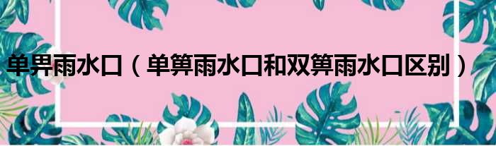 单畀雨水口 单箅雨水口和双箅雨水口区别
